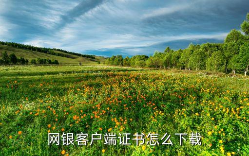 網(wǎng)銀客戶端證書怎么下載