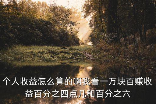 個(gè)人收益怎么算的啊我看一萬(wàn)塊百賺收益百分之四點(diǎn)幾和百分之六