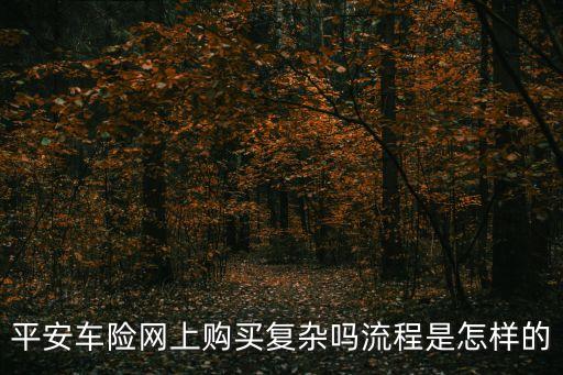 平安車險網上怎么辦理，網上如何辦理車險