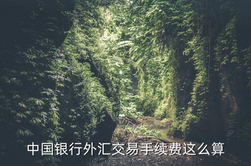 中行買外匯手續(xù)費(fèi)怎么算，中國(guó)銀行外匯匯款手續(xù)費(fèi)怎么算
