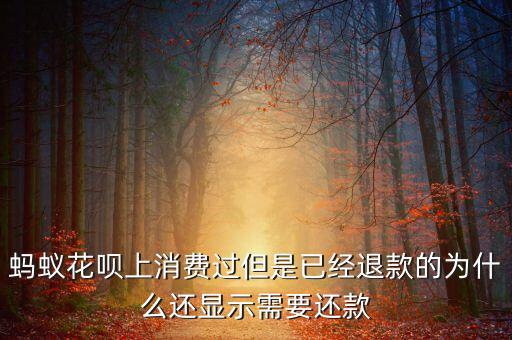 螞蟻花唄上消費(fèi)過但是已經(jīng)退款的為什么還顯示需要還款