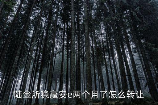 陸金所穩(wěn)盈安e怎么轉讓，什么是穩(wěn)盈安e貸債權轉讓服務