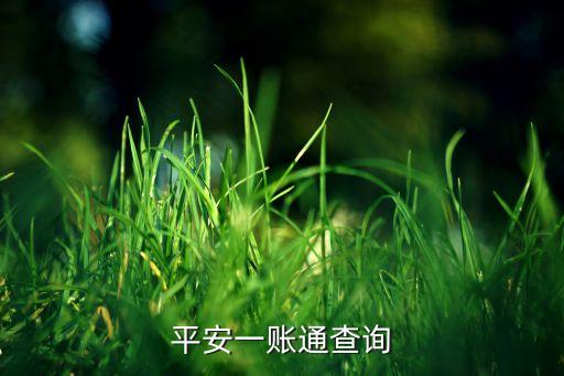 平安一賬通查詢
