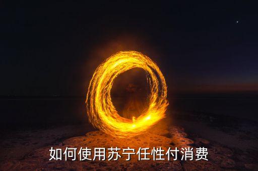 蘇寧任性付怎么付款，如何使用蘇寧任性付消費(fèi)