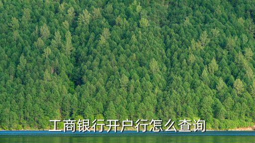 工行開戶行名稱怎么查詢系統(tǒng)，工行開戶行怎么查只知道卡號怎么查開戶行