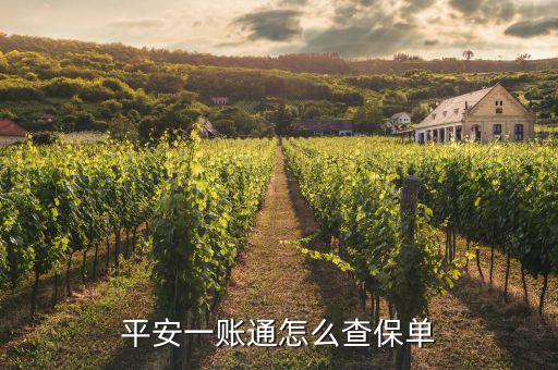平安一賬通怎么查保單