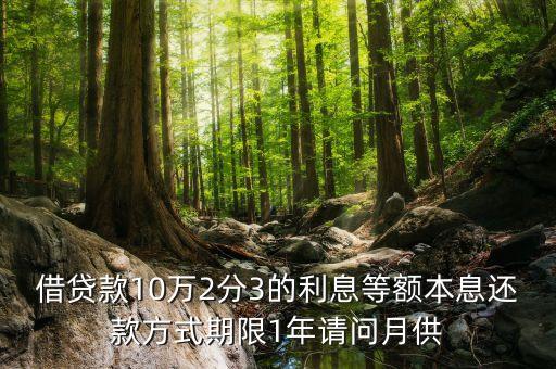 借貸款10萬2分3的利息等額本息還款方式期限1年請問月供