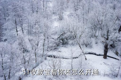 51怎么代還信用卡，51收款寶幫你還怎么開通