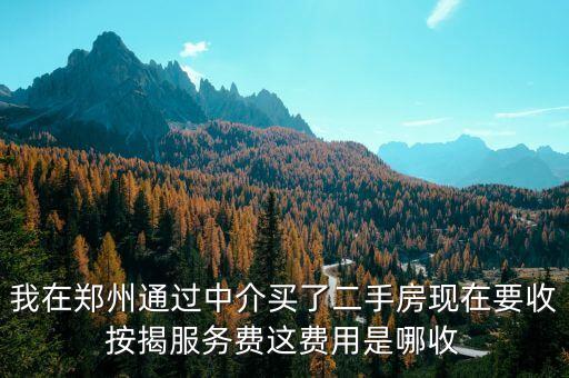 買房怎么有貸款服務(wù)費(fèi)，我在鄭州通過中介買了二手房現(xiàn)在要收按揭服務(wù)費(fèi)這費(fèi)用是哪收