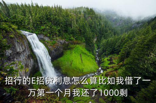 e招貨還款 利息怎么算，招行e招貸利息怎么算