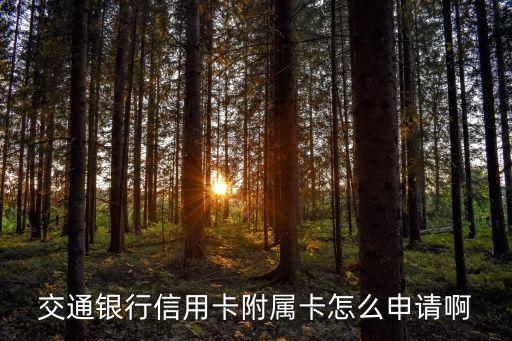 交通銀行信用卡附屬卡怎么申請啊