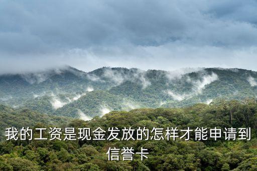 工資本怎么辦理信用卡，有工資卡咋辦信用卡