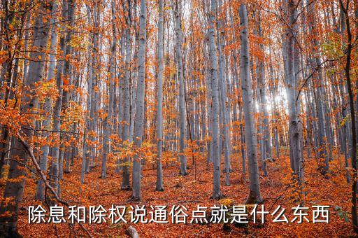 除息是怎么回事，什么是除息