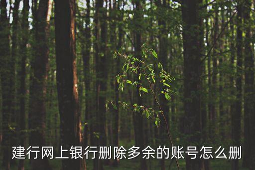 建行網(wǎng)上銀行刪除多余的賬號(hào)怎么刪