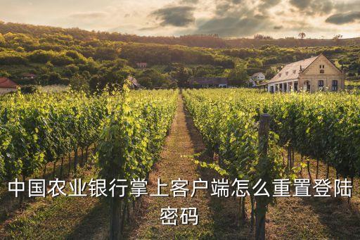 農(nóng)行修改掌上密碼忘記了怎么辦，農(nóng)行掌上銀行怎么自助重置密碼