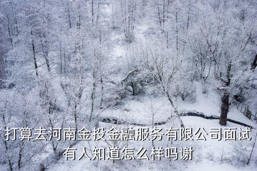金投工作怎么樣，中百金投公司怎么樣