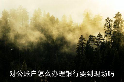 對(duì)公賬戶(hù)怎么辦理銀行要到現(xiàn)場(chǎng)嗎