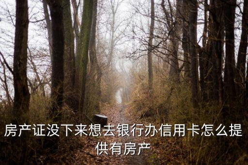 房產(chǎn)證沒(méi)下來(lái)想去銀行辦信用卡怎么提供有房產(chǎn)