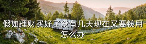 買了理財(cái)產(chǎn)品要用錢怎么辦，假如理財(cái)買好了沒有幾天現(xiàn)在又要錢用怎么辦