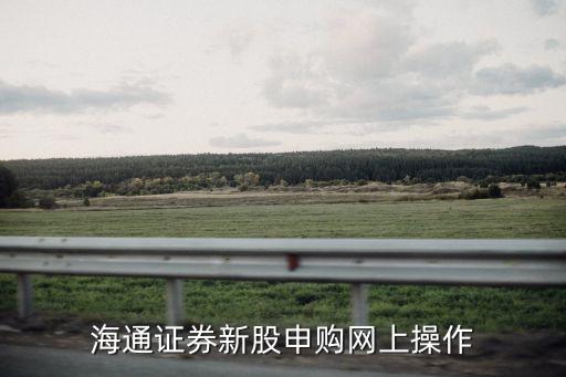 海通怎么手機申購，海通證券新股申購網(wǎng)上操作