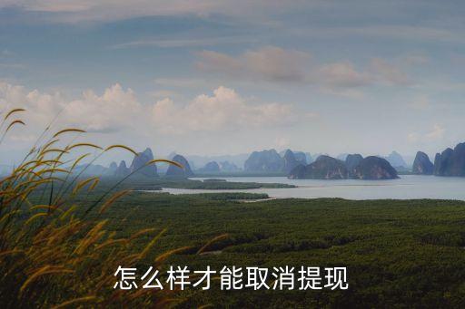 怎么樣才能取消提現(xiàn)