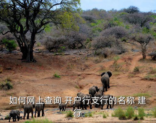 如何網(wǎng)上查詢 開戶行支行的名稱 建行