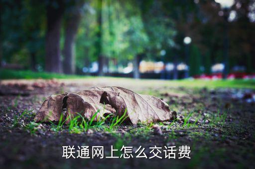 聯(lián)通號(hào)給網(wǎng)上怎么交費(fèi)，聯(lián)通網(wǎng)上怎么交話費(fèi)