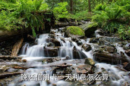 晚還信用卡一天利息怎么算