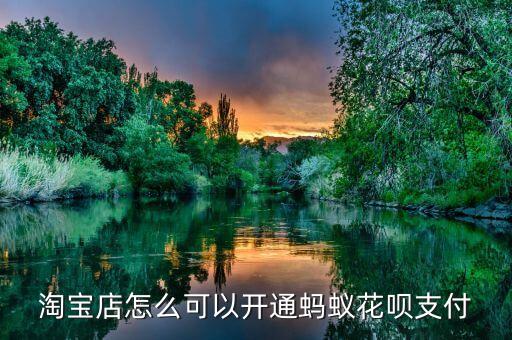 淘寶店怎么可以開通螞蟻花唄支付