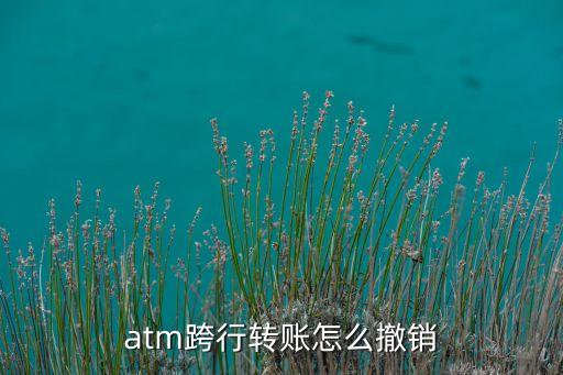 atm跨行轉(zhuǎn)賬怎么撤銷