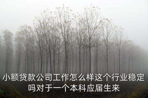 小額貸款公司工作怎么樣這個(gè)行業(yè)穩(wěn)定嗎對(duì)于一個(gè)本科應(yīng)屆生來(lái)
