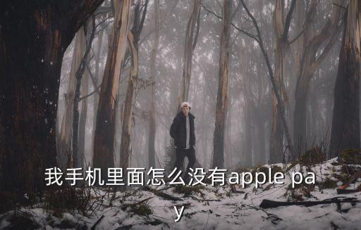 蘋果apple pay怎么注冊(cè)，申請(qǐng)?zhí)O果app支付系統(tǒng)需要什么證件