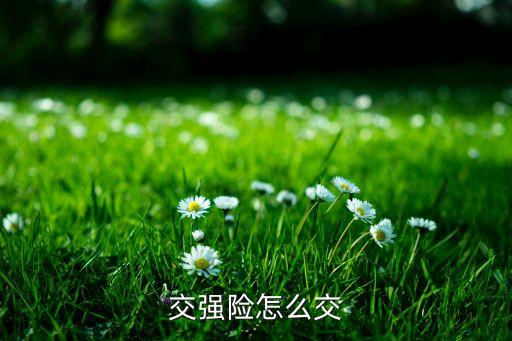 強制車險怎么交，強險怎么交