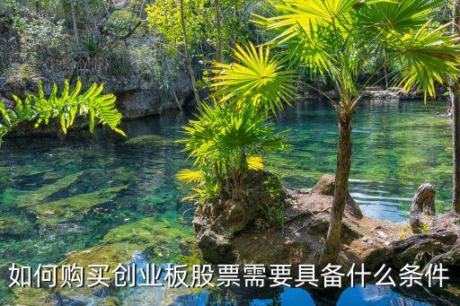 創(chuàng)業(yè)版股票怎么購(gòu)買(mǎi)，如何購(gòu)買(mǎi)創(chuàng)業(yè)板股票需要具備什么條件