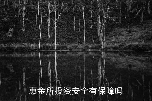 惠金所投資安全有保障嗎