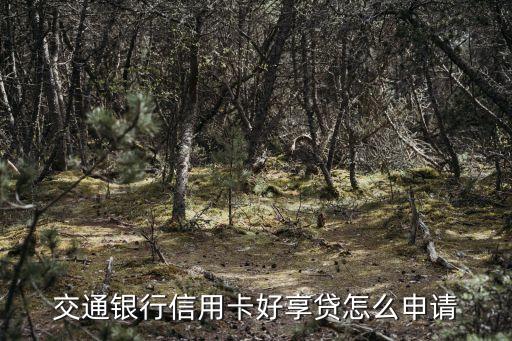 交行好享貸怎么出，無(wú)錫交通銀行的好享貸業(yè)務(wù)里的錢(qián)怎樣套現(xiàn)呀