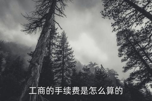 工商的手續(xù)費(fèi)是怎么算的