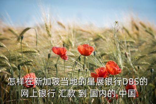 怎樣在新加坡當(dāng)?shù)氐男钦广y行DBS的網(wǎng)上銀行 匯款 到 國內(nèi)的 中國