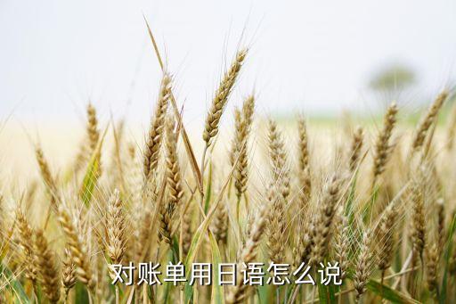 信用卡賬單日語(yǔ)怎么說(shuō)，日語(yǔ) 對(duì)帳單 怎么說(shuō)