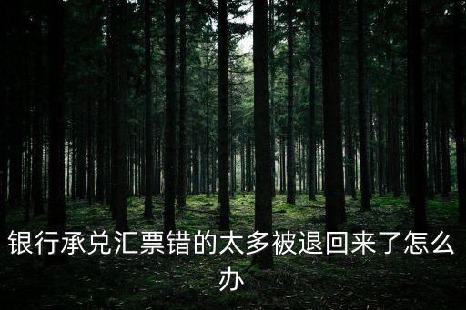 銀行承兌匯票錯的太多被退回來了怎么辦