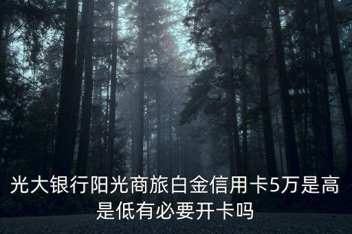 陽(yáng)光白金信用卡怎么樣，光大銀行陽(yáng)光商旅白金信用卡5萬(wàn)是高是低有必要開(kāi)卡嗎