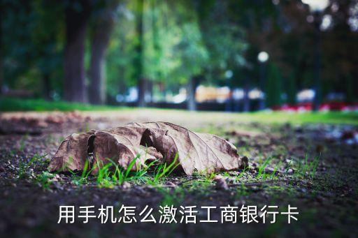 手機(jī)激活工商信用卡怎么辦，我拿到工商銀行的信用卡想在網(wǎng)上開通怎么辦