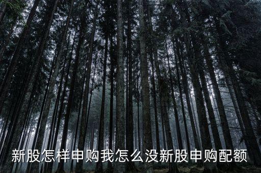 沒有額度怎么申購，新股怎樣申購我怎么沒新股申購配額