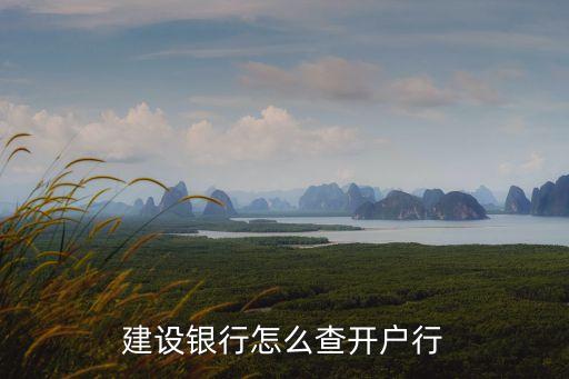 建行怎么查開(kāi)戶行支行名稱(chēng)，怎樣查詢中國(guó)建設(shè)銀行卡開(kāi)戶行支行名稱(chēng)