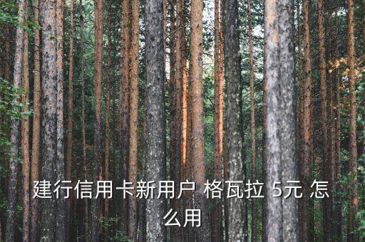 建行信用卡新用戶 格瓦拉 5元 怎么用