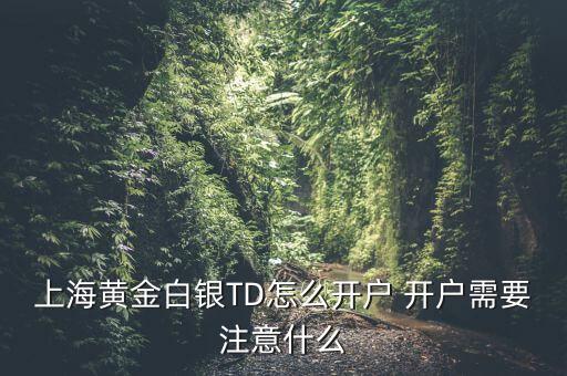 上海期貨白銀交易所怎么開戶，怎么辦理上海期貨交易所的賬戶