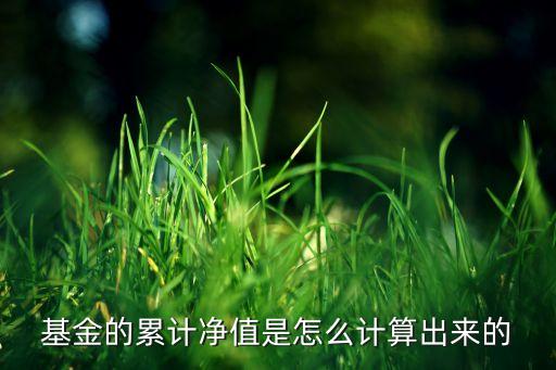 基金的累計凈值是怎么計算出來的
