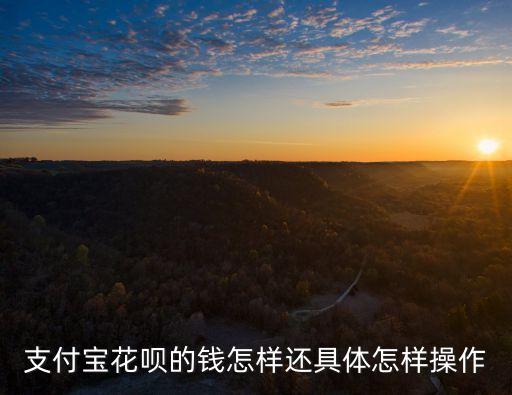 支付寶花唄的錢怎樣還具體怎樣操作