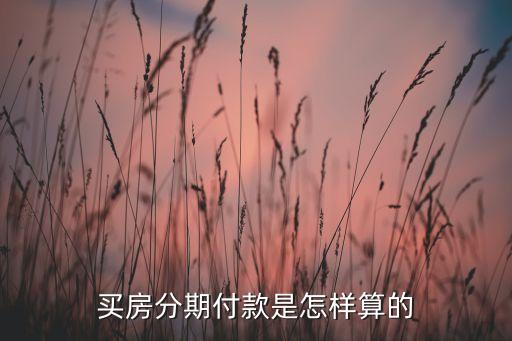 買房分期20付款怎么算，買房分期付款利息怎么算
