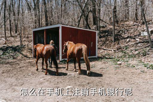 怎么撤銷手機(jī)銀行，怎么取消手機(jī)銀行